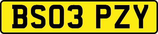 BS03PZY
