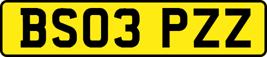 BS03PZZ
