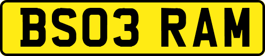 BS03RAM