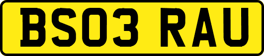 BS03RAU