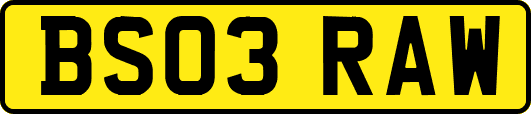 BS03RAW