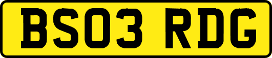 BS03RDG
