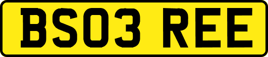 BS03REE
