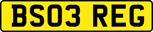 BS03REG