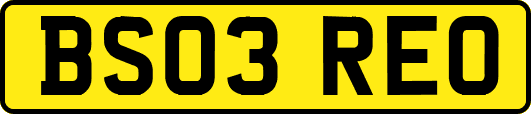 BS03REO
