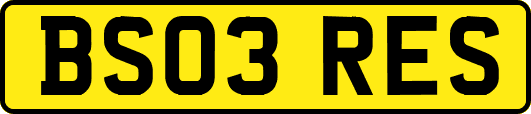 BS03RES