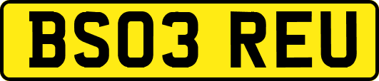 BS03REU