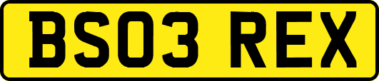 BS03REX