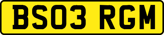 BS03RGM
