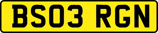 BS03RGN