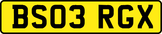BS03RGX