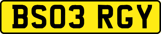BS03RGY