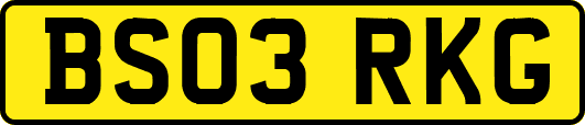 BS03RKG