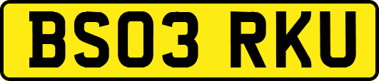 BS03RKU