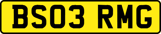 BS03RMG