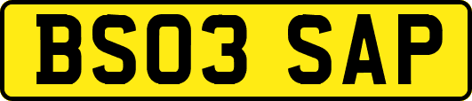 BS03SAP