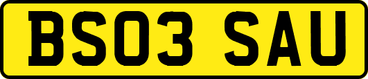 BS03SAU