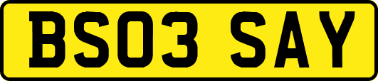 BS03SAY