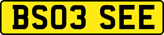 BS03SEE