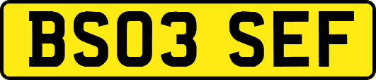 BS03SEF