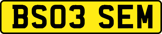 BS03SEM