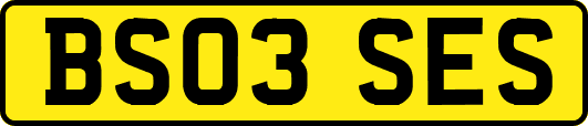 BS03SES