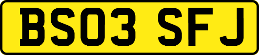 BS03SFJ