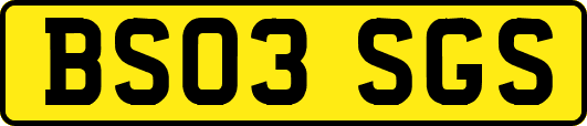 BS03SGS