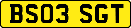 BS03SGT