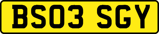BS03SGY