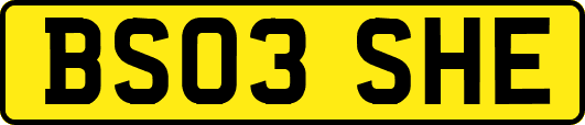 BS03SHE