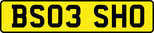 BS03SHO