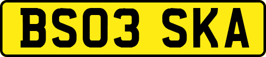 BS03SKA