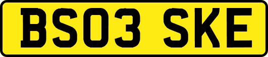 BS03SKE