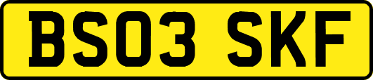 BS03SKF