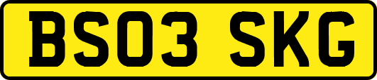 BS03SKG