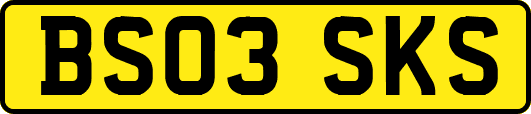 BS03SKS