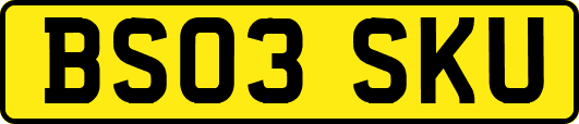 BS03SKU