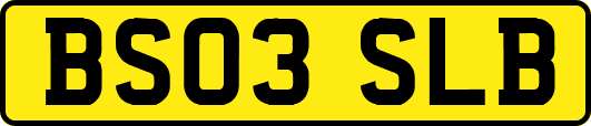 BS03SLB