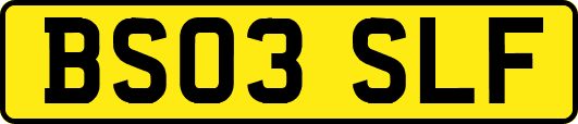 BS03SLF