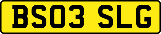 BS03SLG