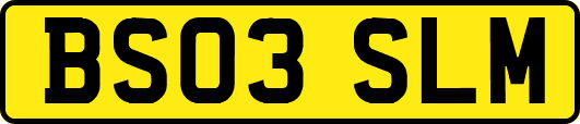 BS03SLM