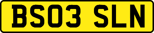 BS03SLN
