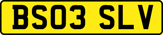 BS03SLV