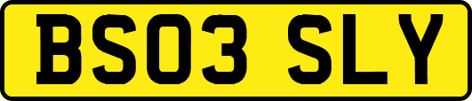 BS03SLY