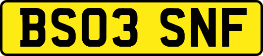 BS03SNF