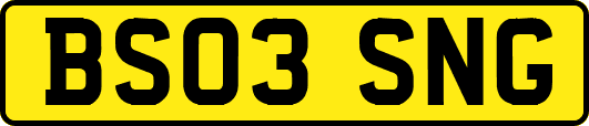BS03SNG