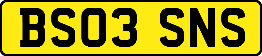 BS03SNS