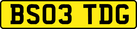 BS03TDG
