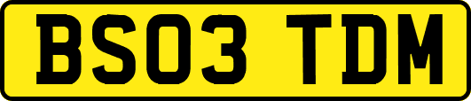 BS03TDM